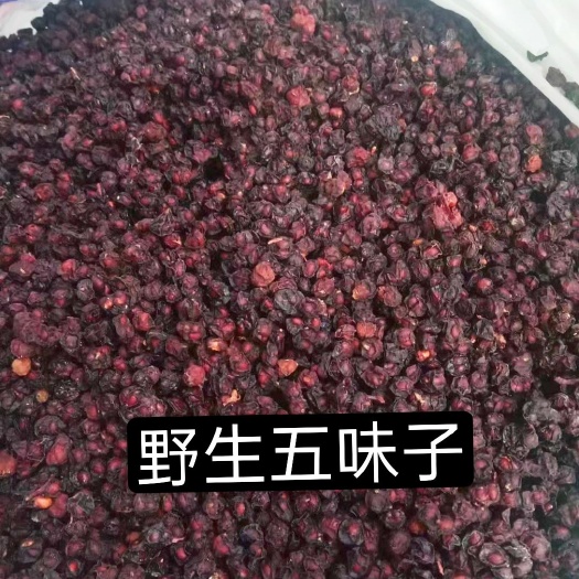 萝北县北五味子  五味子，分布于东三省的习称“北五味”，呈不规则球型或扁球形。