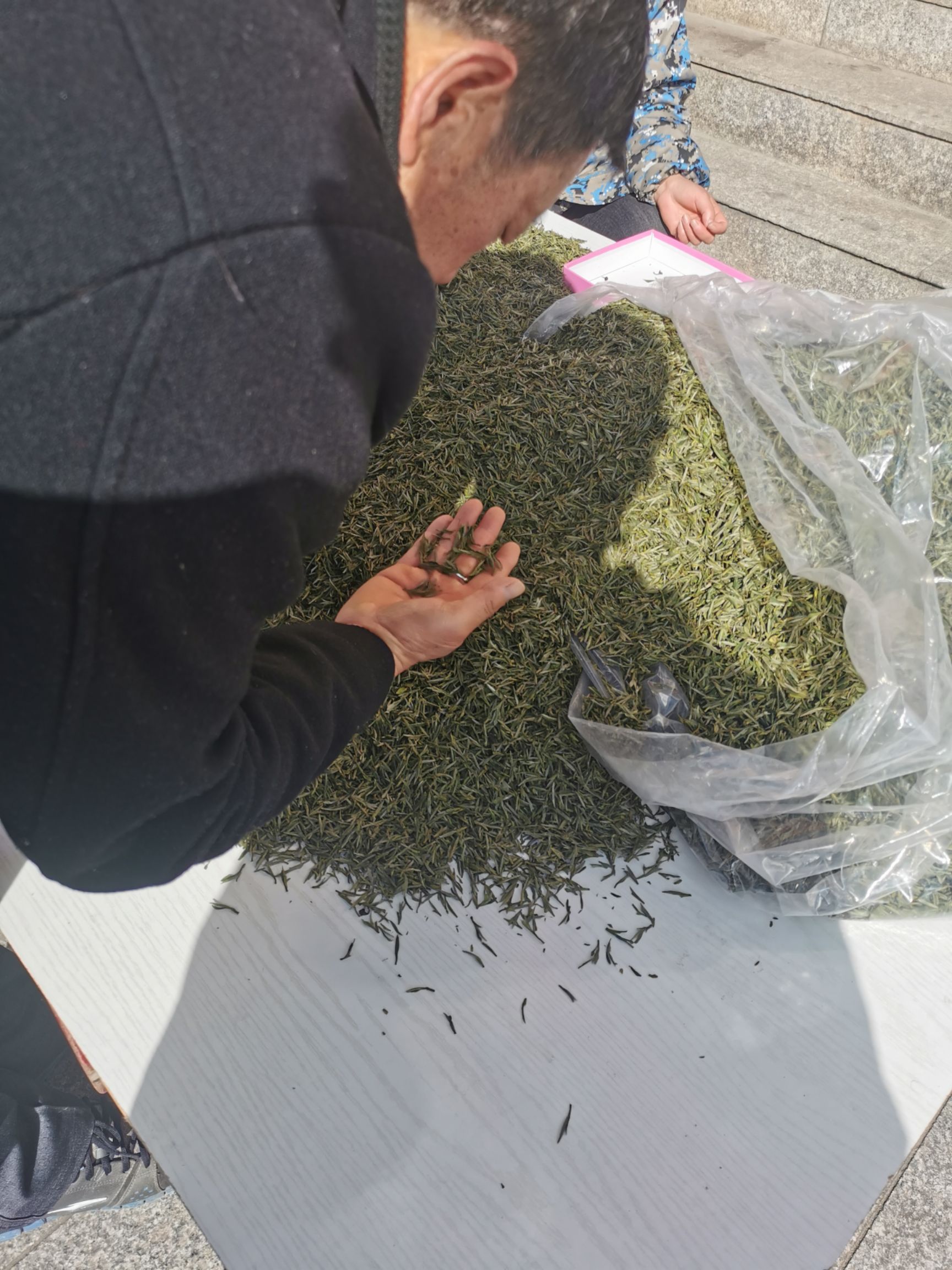 黄芽茶霍山黄芽2025 年新茶明前春茶头采安徽茶叶黄茶批发