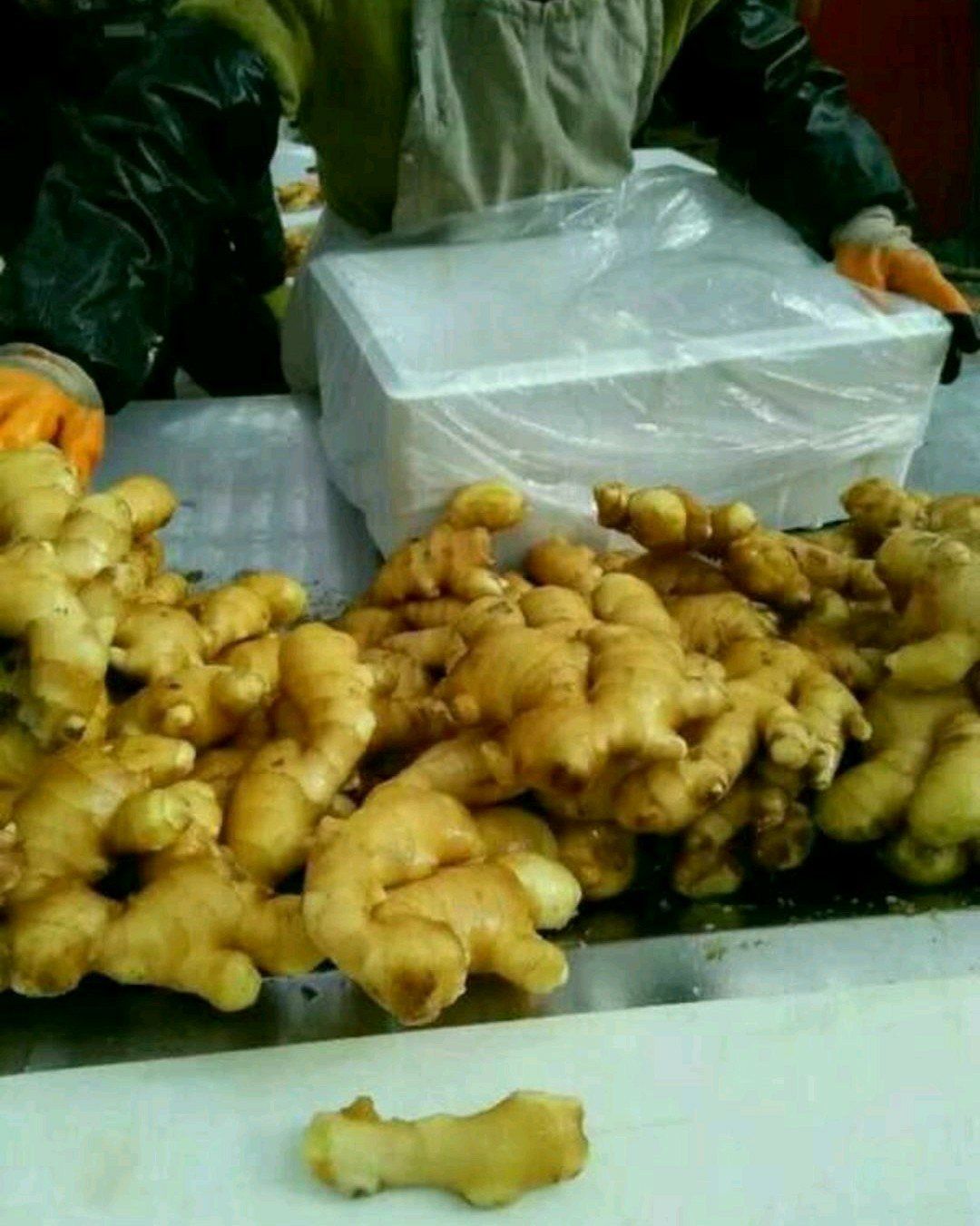 济南生姜优质大黄姜【产地直发】【价格便宜】【坏烂包赔】