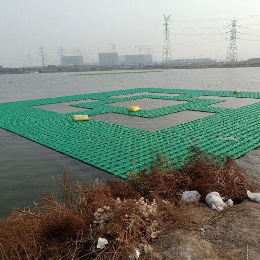 安新县生态浮床  河道绿化，净化水质