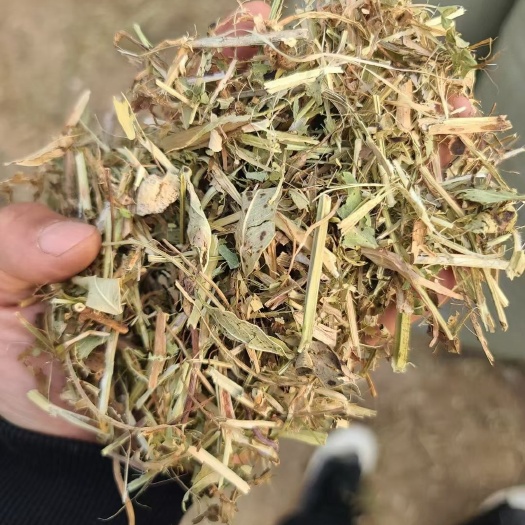 石家庄花生秧草料，质量自己看图