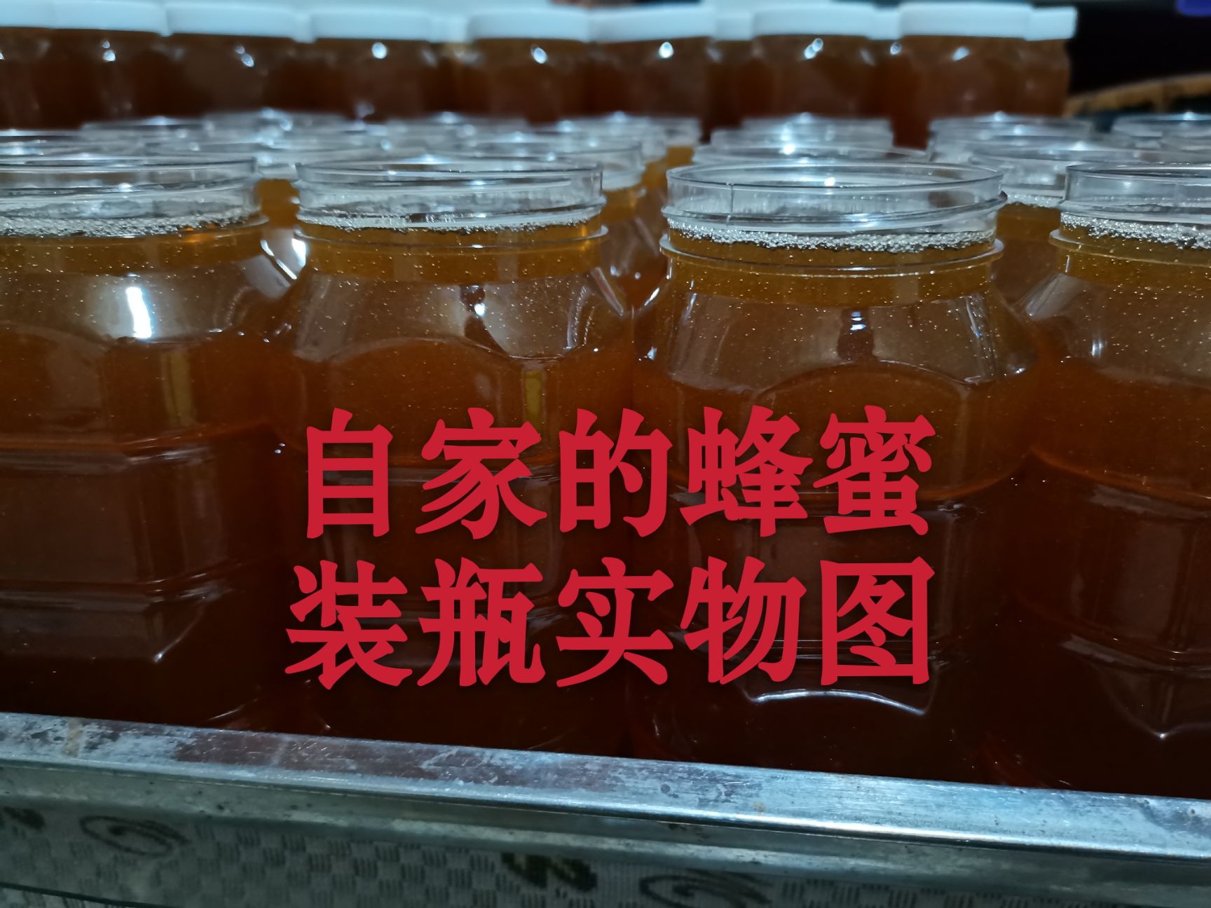 荆条蜜  土蜂蜜品质保证，假一赔十！