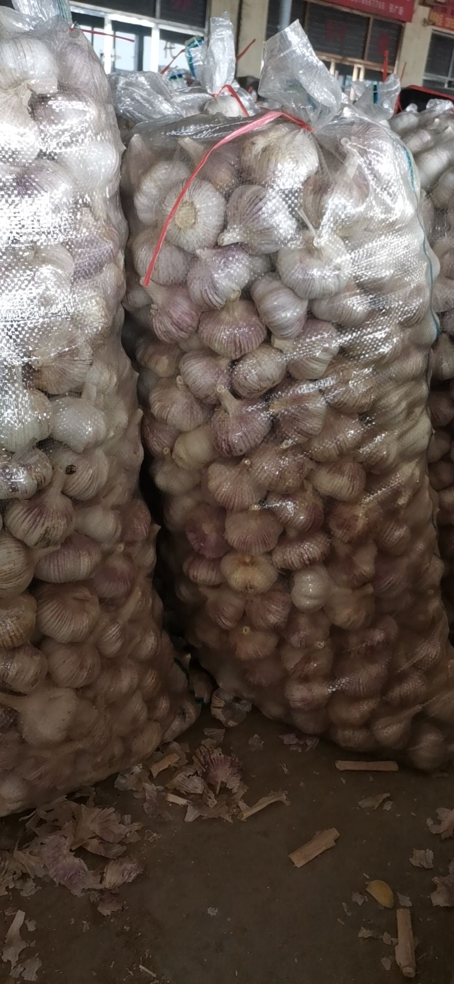 金乡县紫皮太空蒜  供应优质金乡大蒜，加工各种包装，