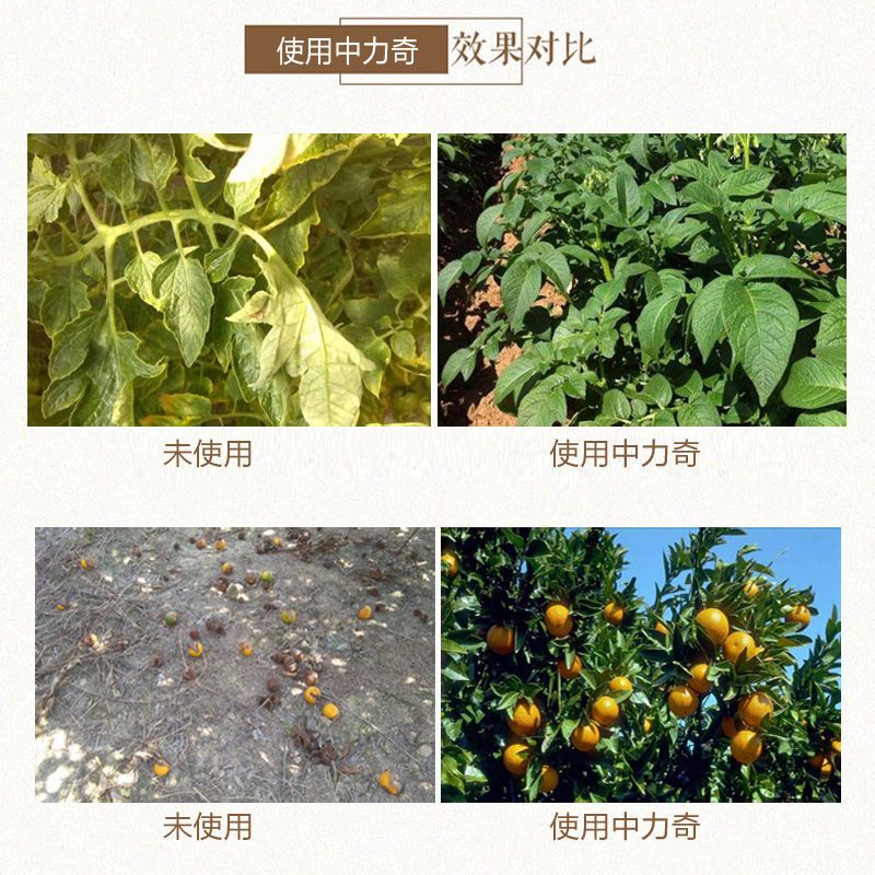 中量元素肥料  钙镁肥中力奇中量元素水溶肥料果树蔬菜花卉通用肥包邮