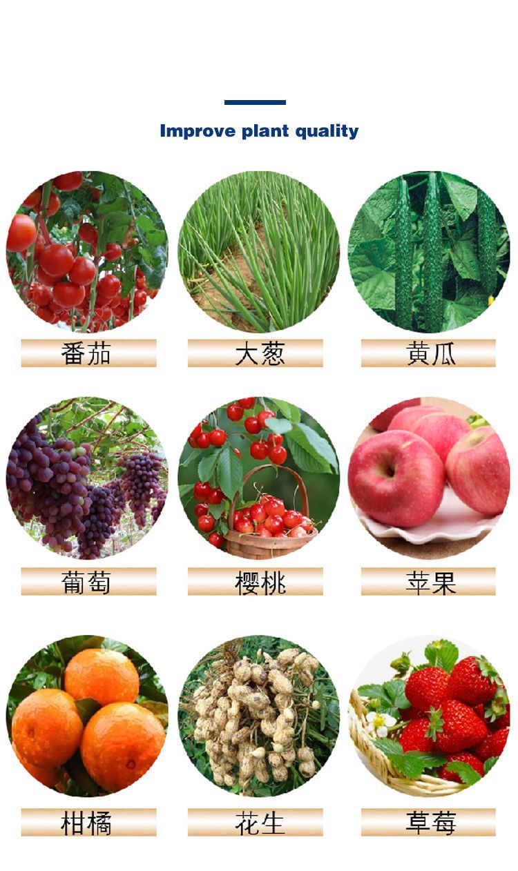 中量元素肥料  钙镁肥中力奇中量元素水溶肥料果树蔬菜花卉通用肥包邮