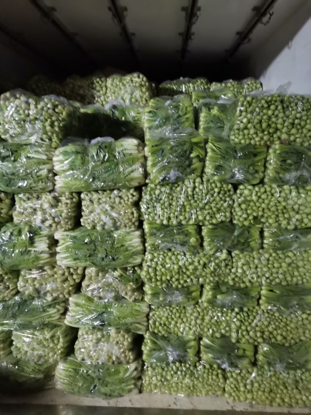 快菜  《热销中》大棚精品小白菜小油菜欢迎选购保质保量