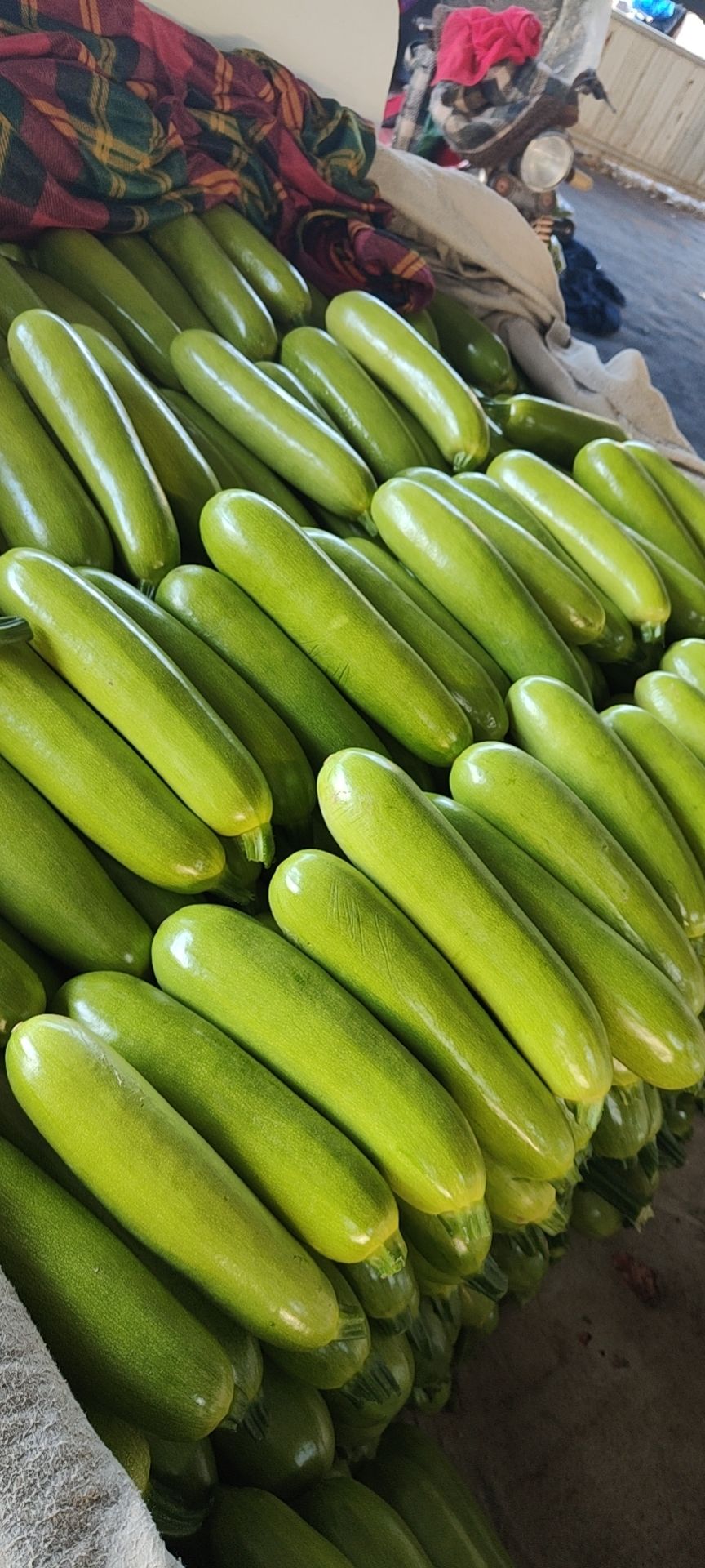 绿皮西葫芦  西葫芦产地直供，颜色油绿亮，卖相好