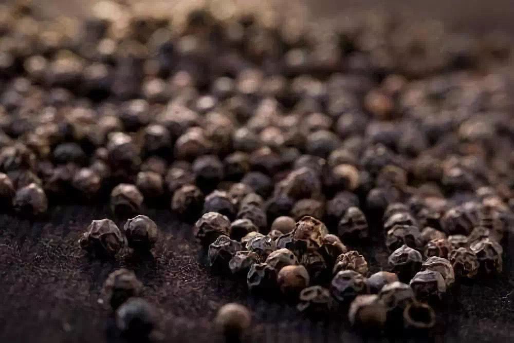  出售发货优质黑胡椒580足干