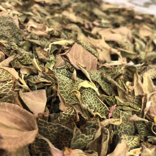 昆明福建红霞大叶，整珠，。金线莲批发价格出货。量大从优