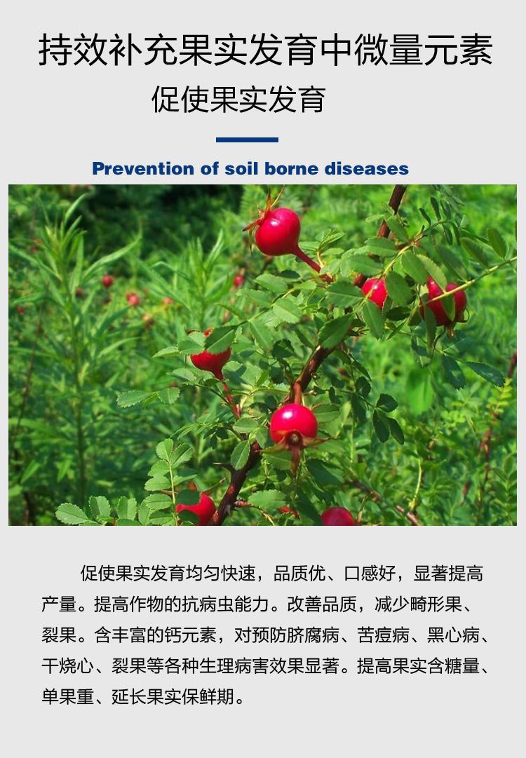 中量元素肥料  钙镁肥中力奇中量元素水溶肥料果树蔬菜花卉通用肥包邮