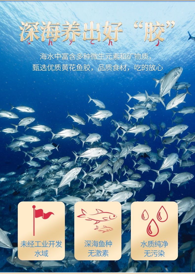 花胶一手货源，花胶筒70-80个一斤，花胶筒非黄花胶。