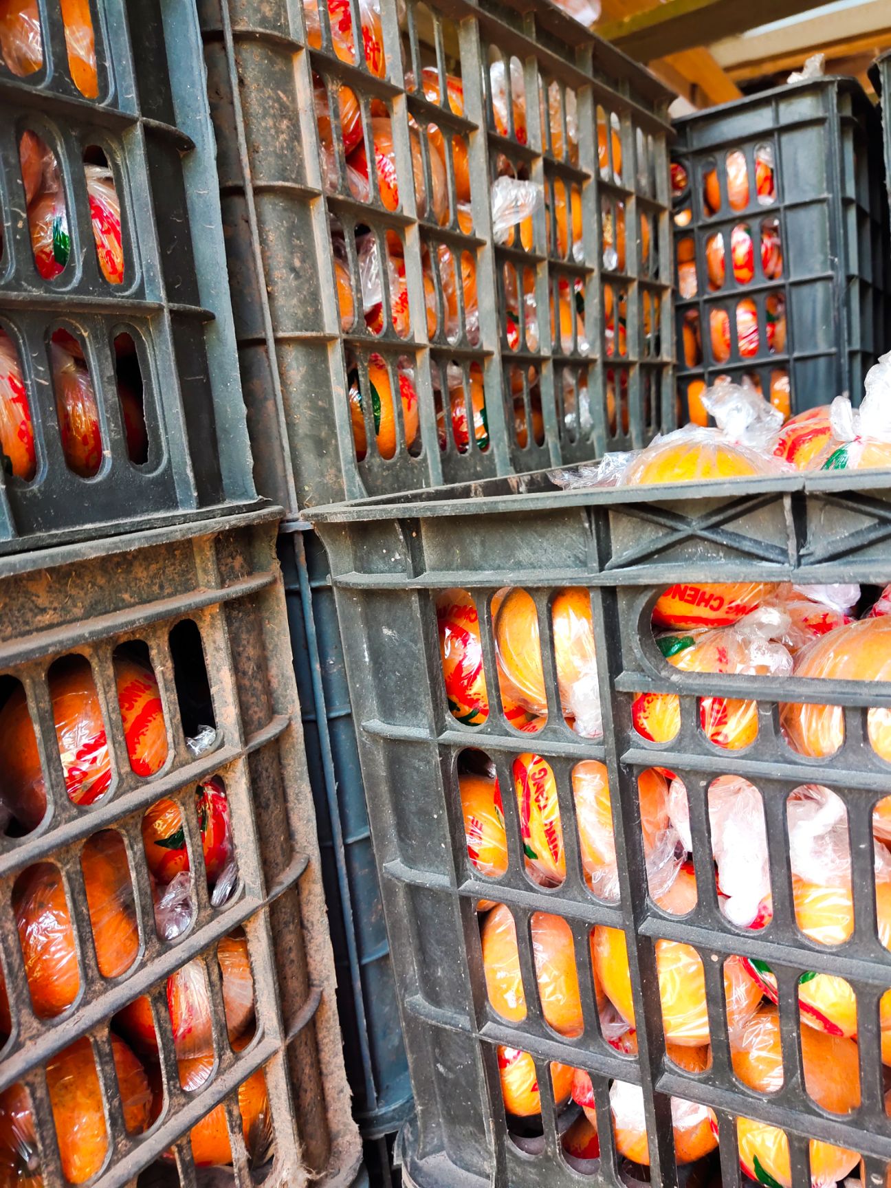  山沟沟的冰糖橙，甜非常的甜。