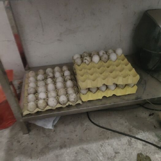 桂平市土鸭蛋 食用 散装 