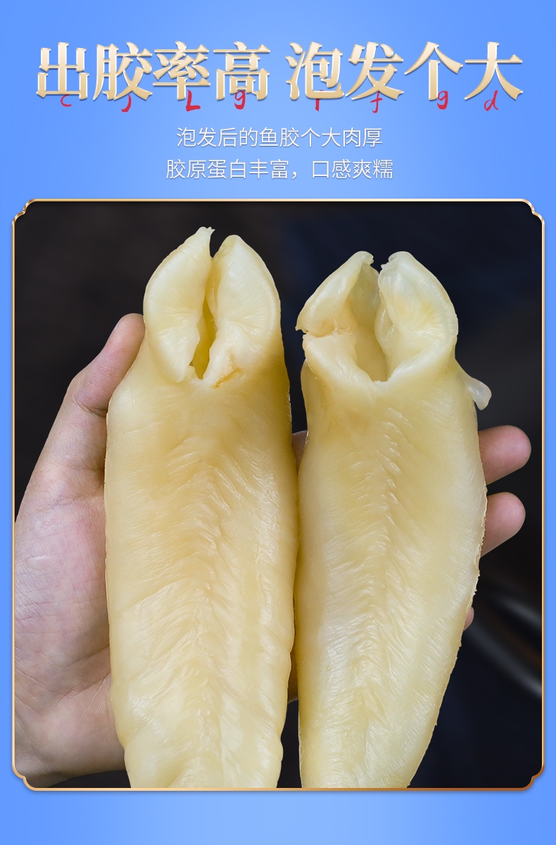 花胶一手货源，花胶筒70-80个一斤，花胶筒非黄花胶。