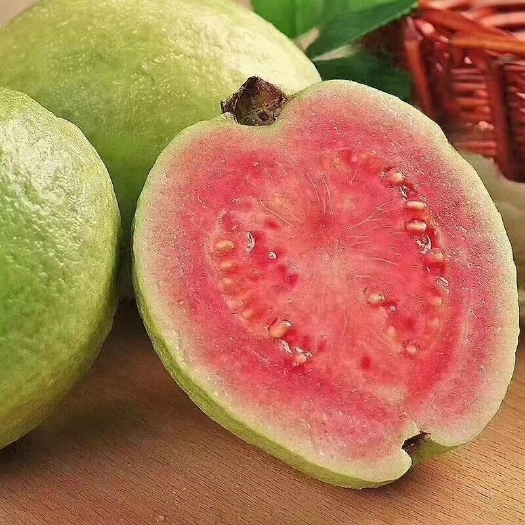 灵山县番石榴苗  红宝石芭乐 少籽红宝石芭乐树苗 一年四季开花结果