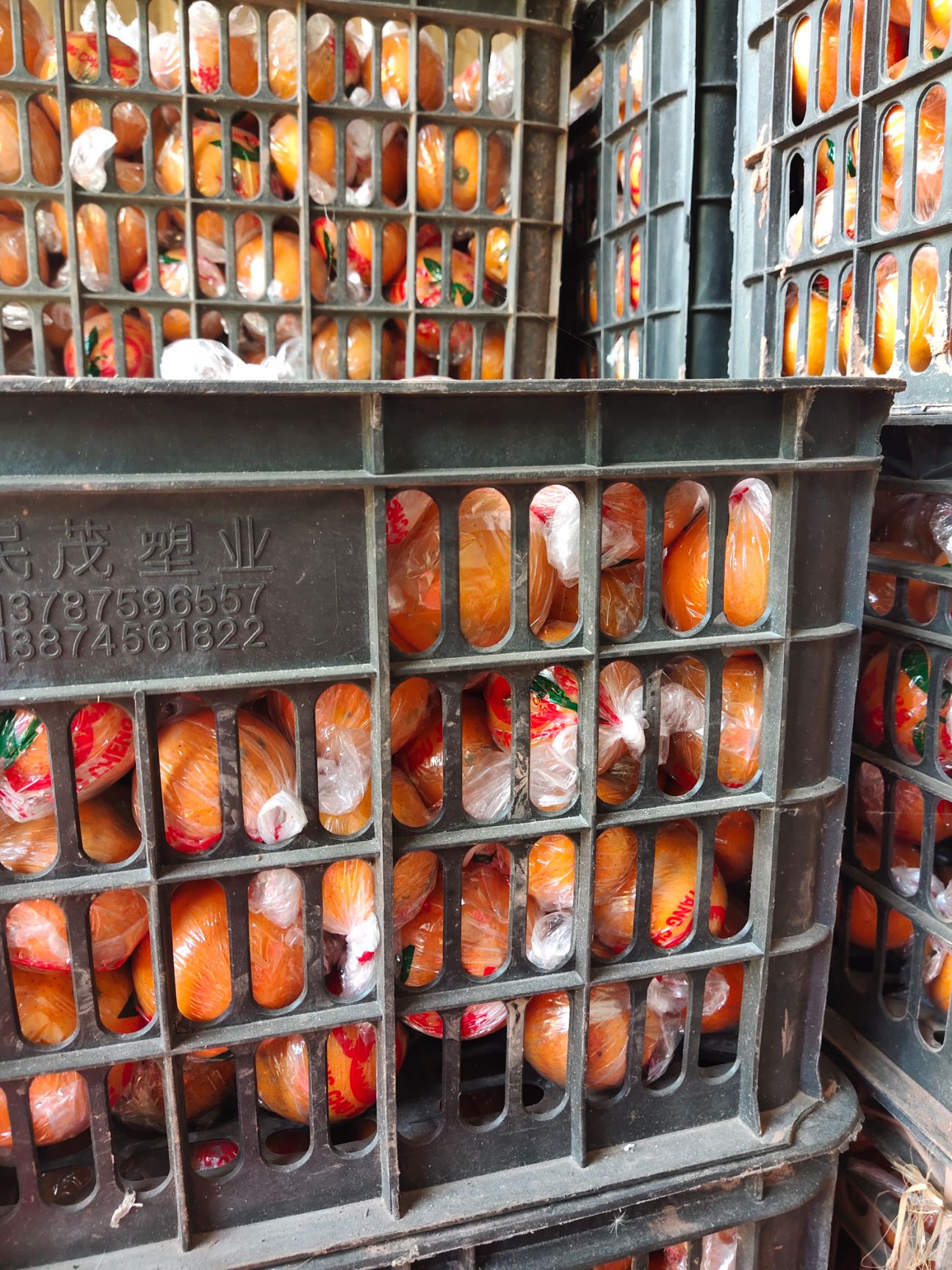  山沟沟的冰糖橙，甜非常的甜。