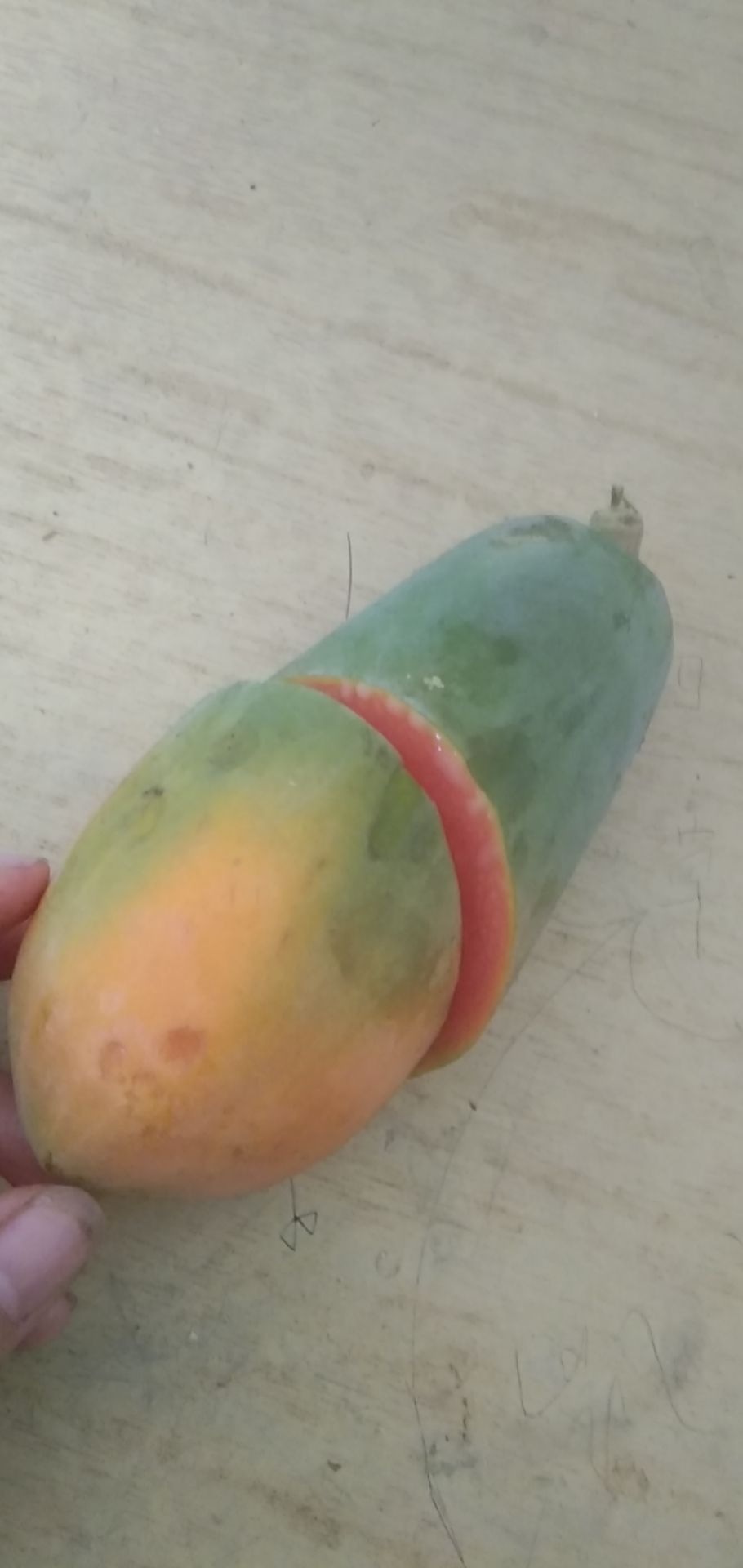 红心木瓜大量上市中，果园直供，货源充足价格美丽，量大从优