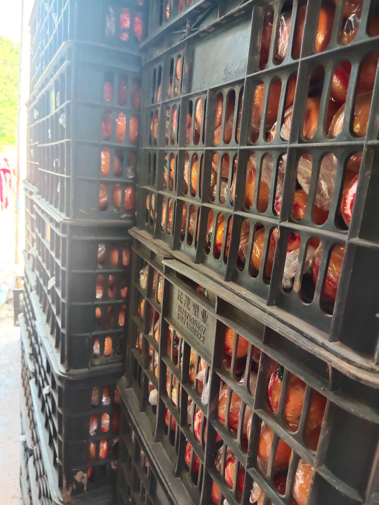  山沟沟的冰糖橙，甜非常的甜。