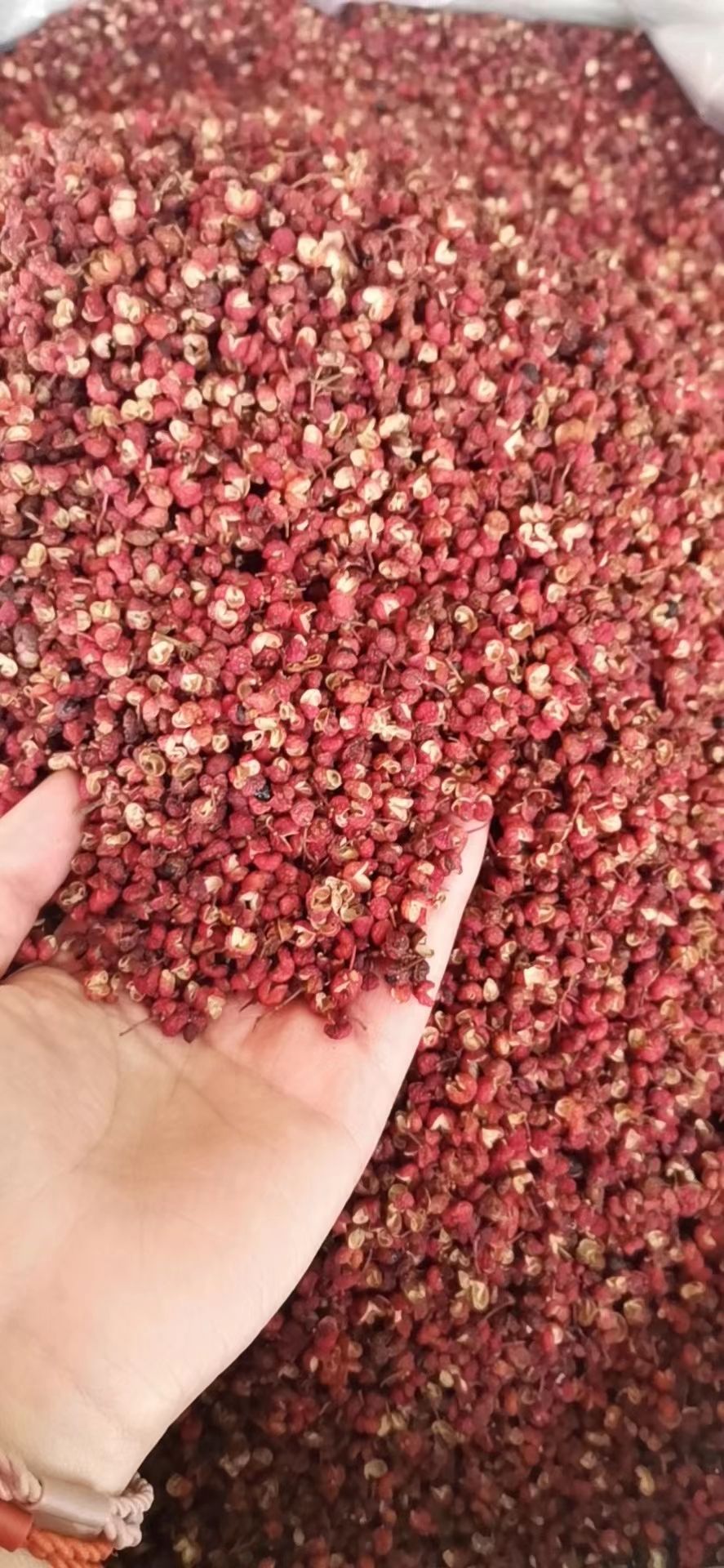 大红袍花椒 陕西大红袍，红花椒颗粒。农户自销。