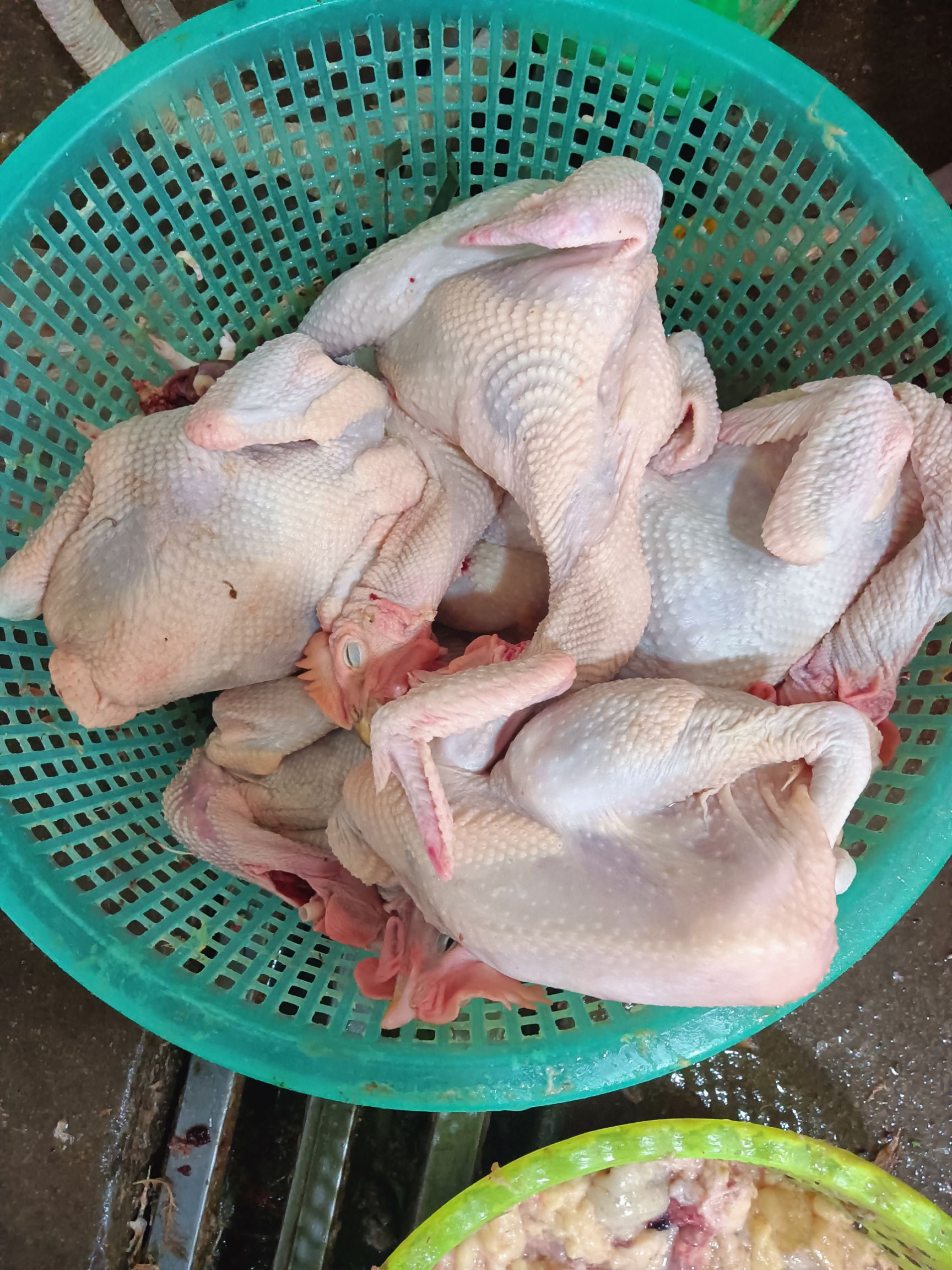 鸡肉类  新鲜鸡肉