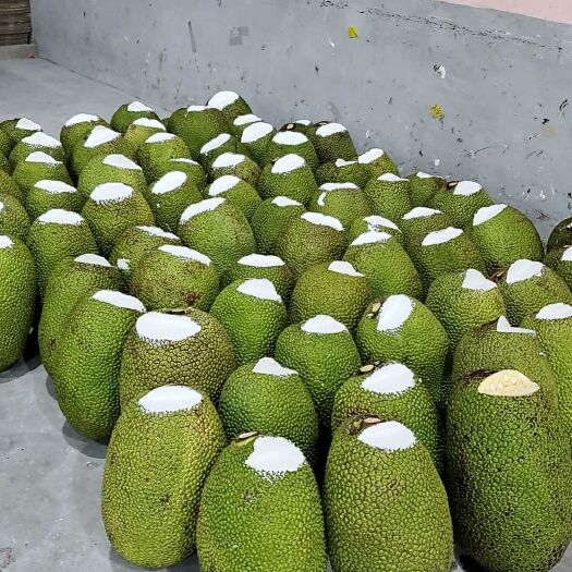 凭祥市（中妃蜜妃）越南前江自营工厂红肉菠萝蜜自主品牌产地直供