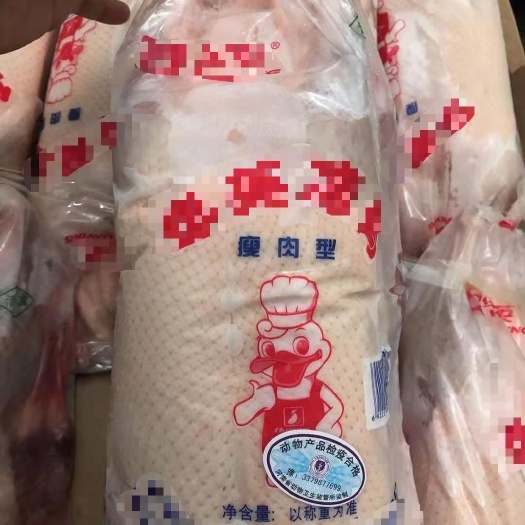 滨州樱桃谷鸭 西装鸭
