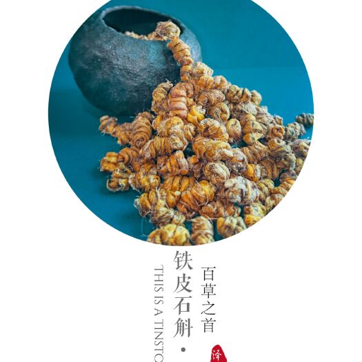 铁皮石斛  石斛，石斛枫斗。