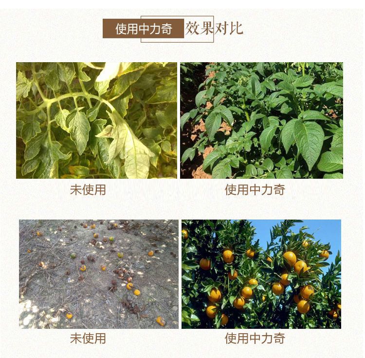 中量元素肥料  钙镁肥中力奇中量元素水溶肥料果树蔬菜花卉通用肥包邮