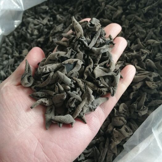 海林市东北黑木耳    单片无根   肉厚口感好  物美价廉