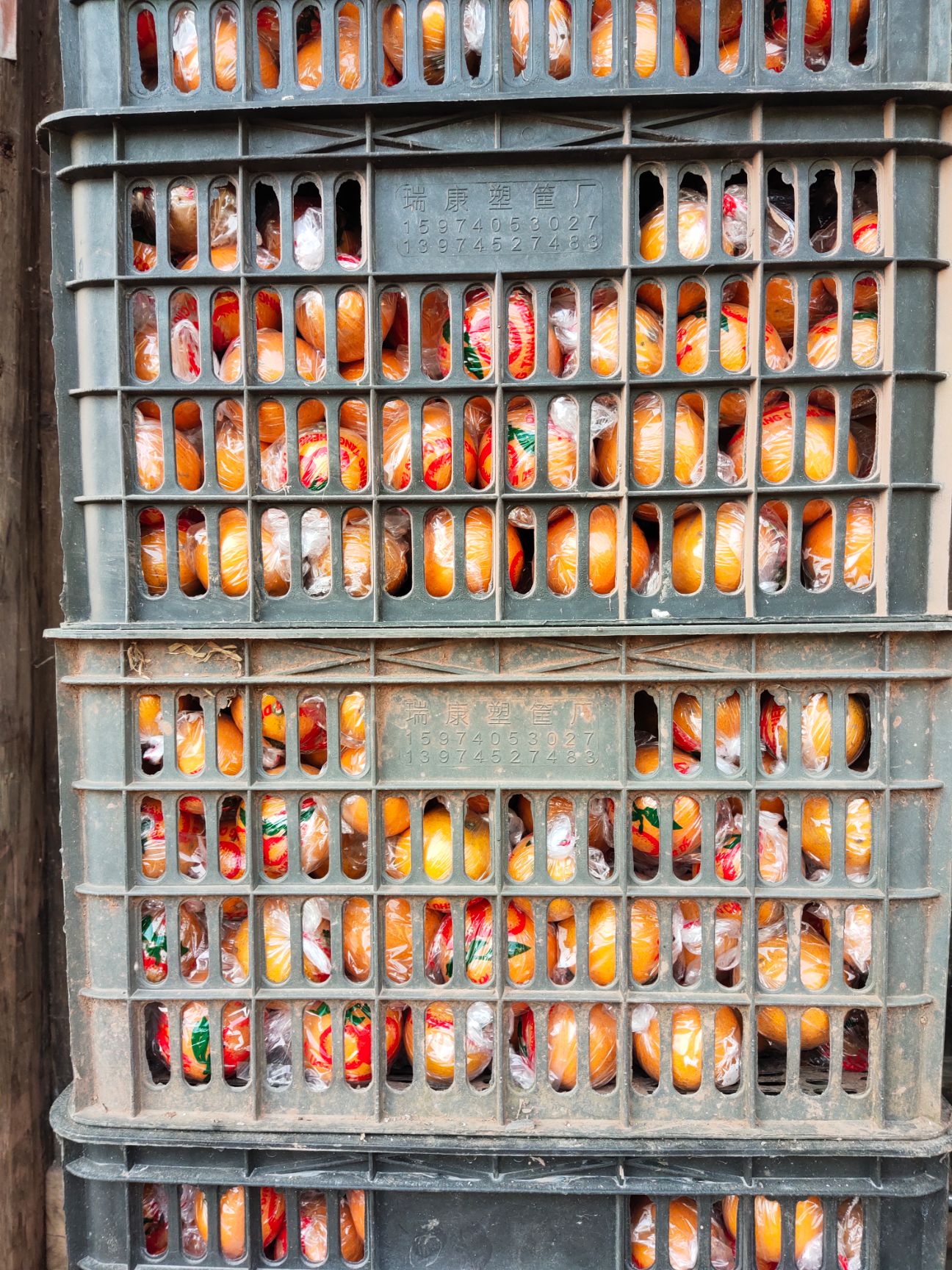  山沟沟的冰糖橙，甜非常的甜。