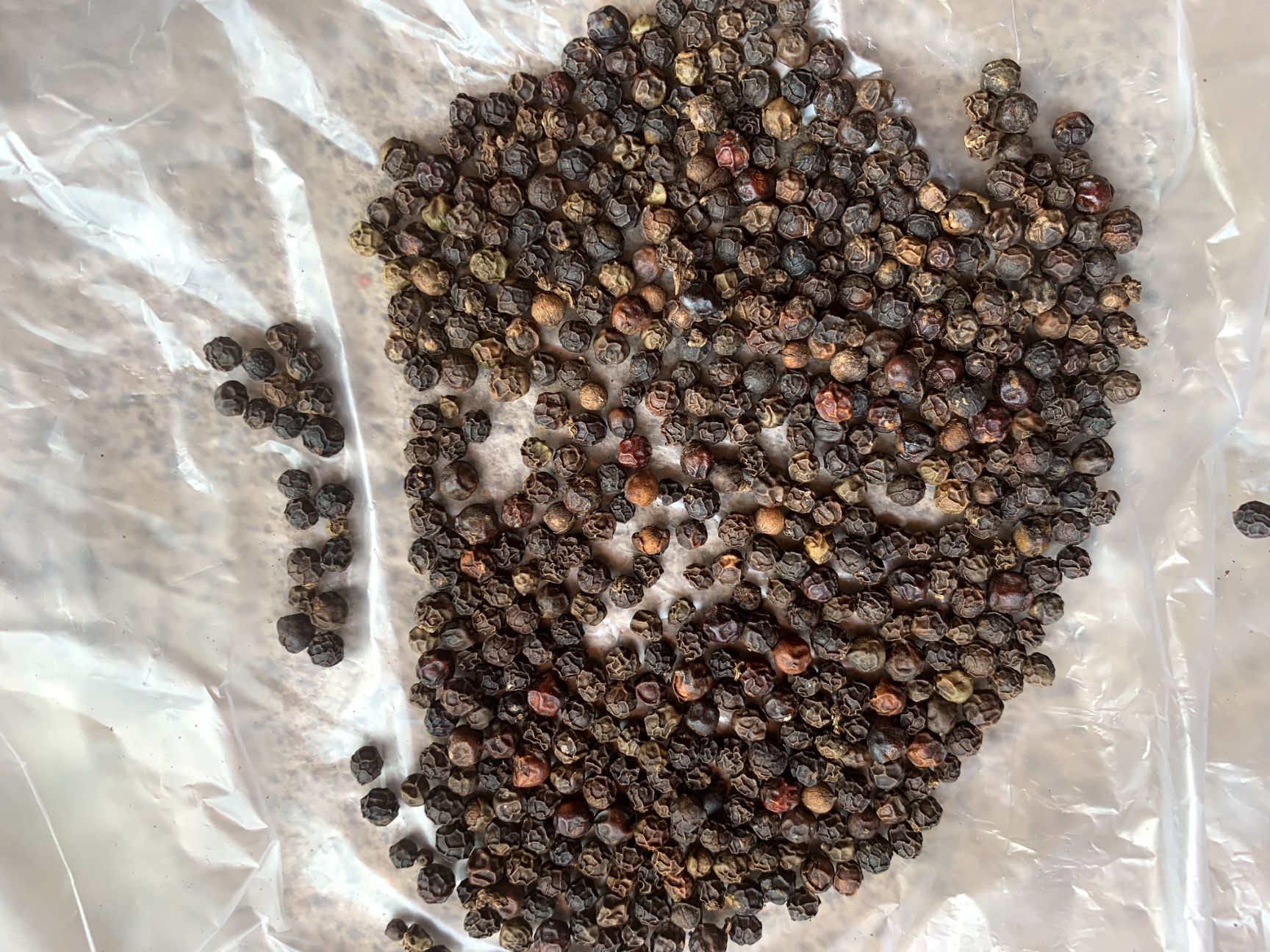  出售发货优质黑胡椒580足干