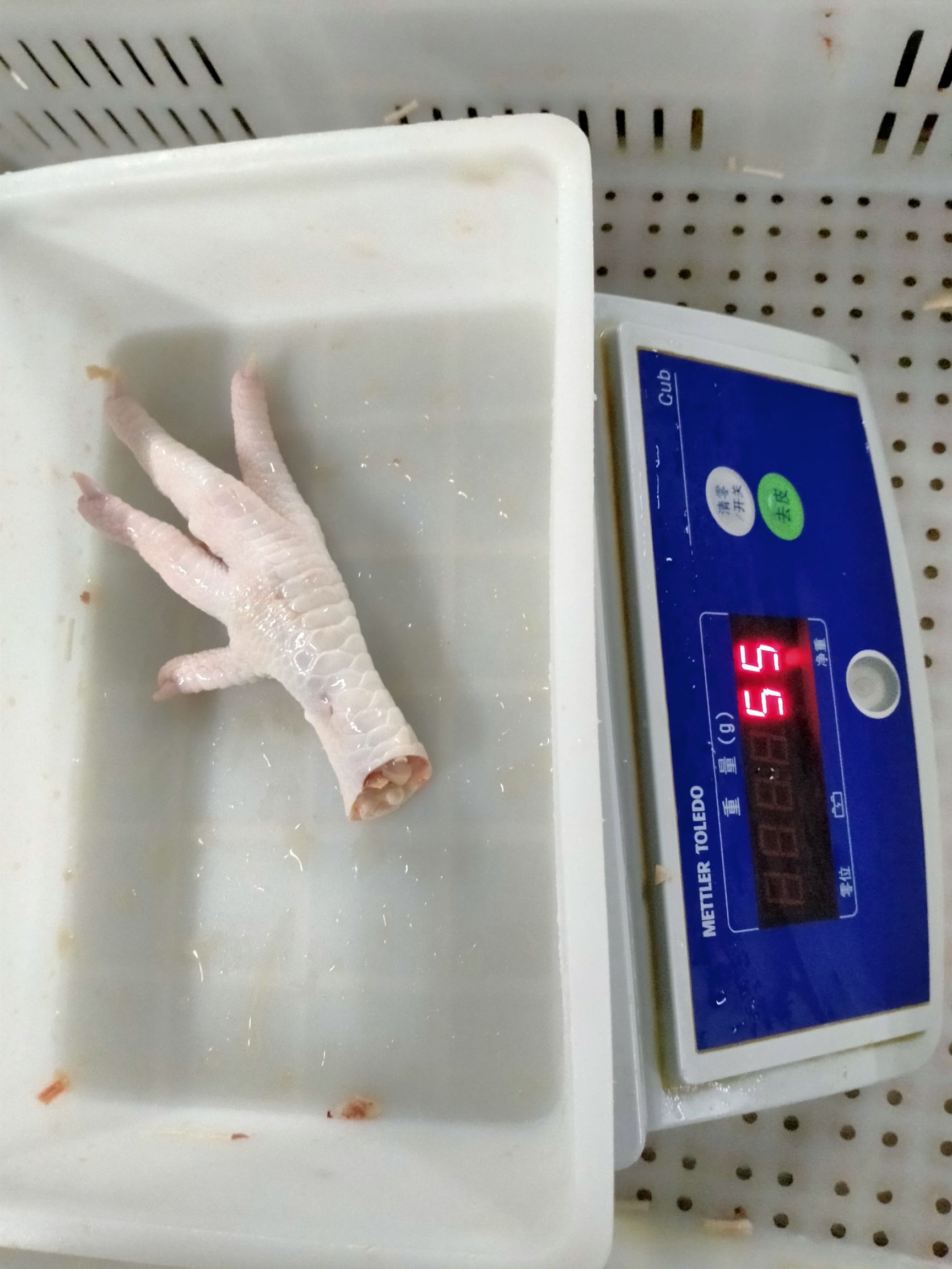  凤爪，大小凤爪，鸡爪子