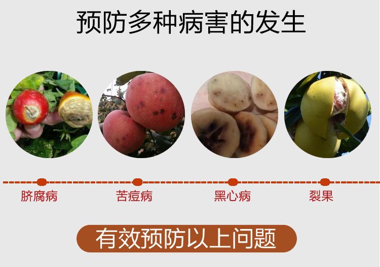 中量元素肥料  钙镁肥中力奇中量元素水溶肥料果树蔬菜花卉通用肥包邮