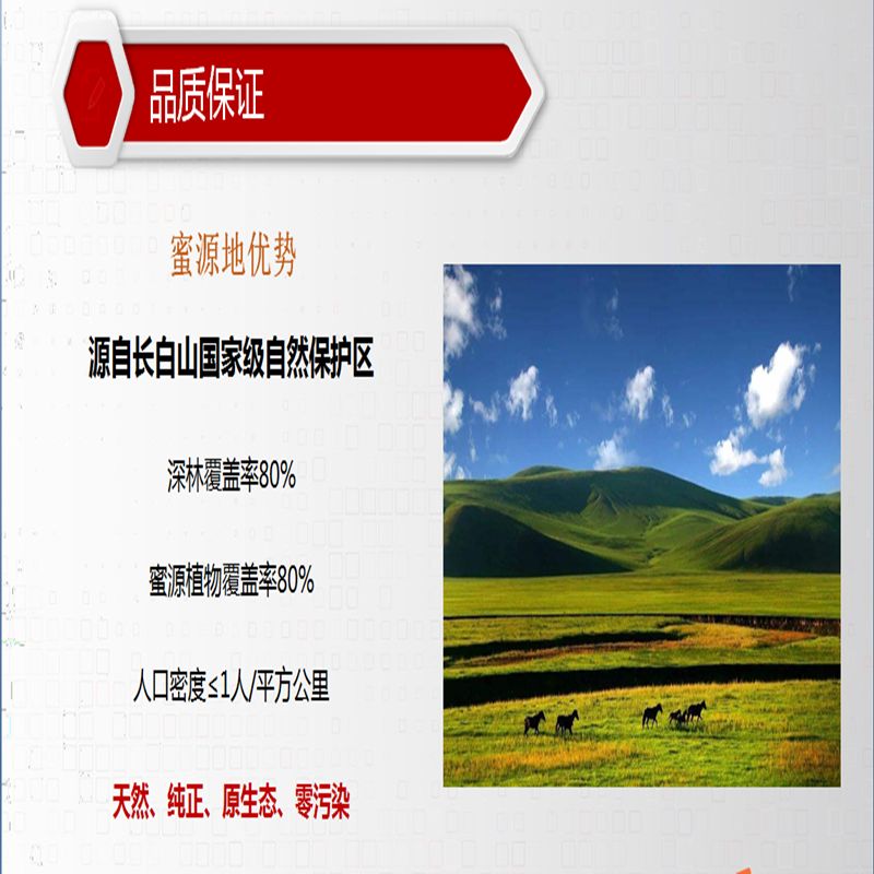 蜂蜜长白山椴树蜜正品天然东北土蜂蜜批发便携小包装结晶雪蜜1斤