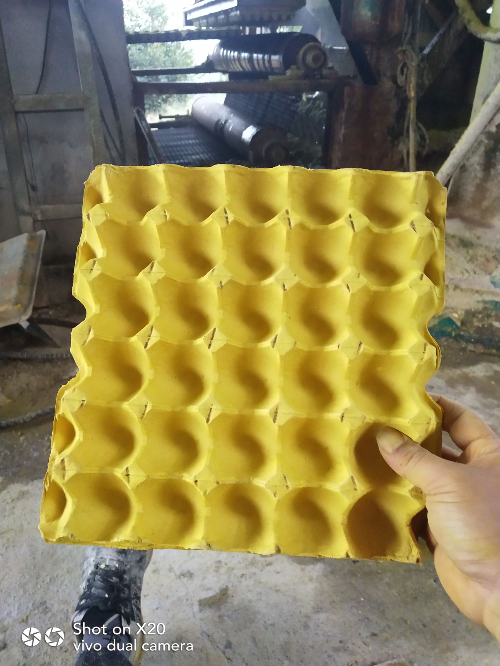 食品生鲜内托 防水蛋托，质量扛扛得