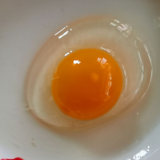 饶阳县土鸡蛋  自家养的柴鸡