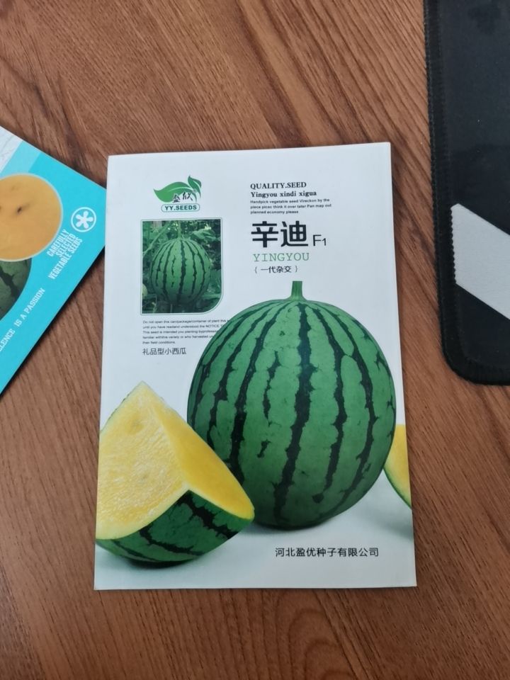 西瓜种子  辛迪（礼品型小西瓜）
