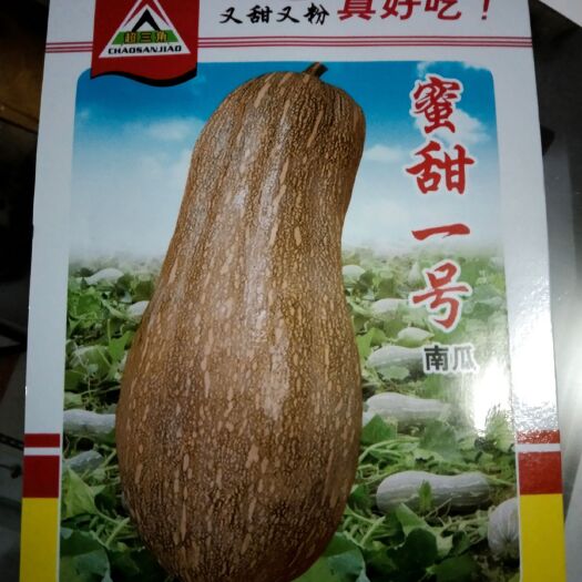 夏邑县南瓜种子，一代杂交品种，适宜南北方种植，一袋70粒，