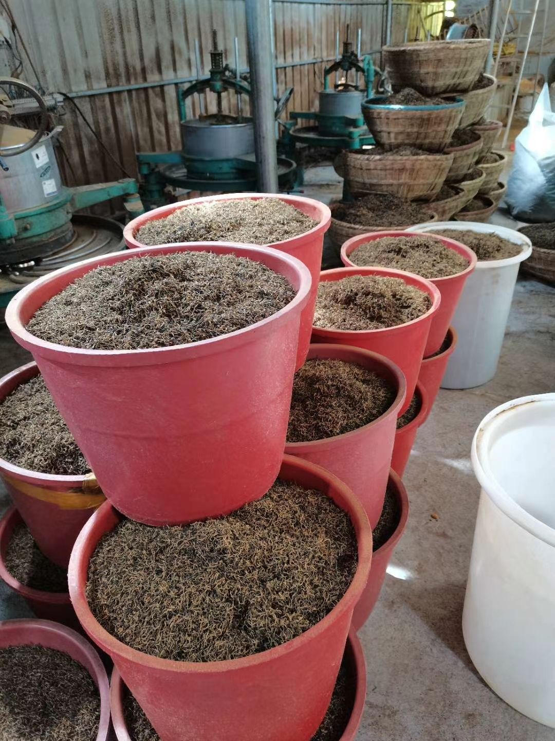 红茶 贵州省黔南布依族苗族自治州三都水族自治县 2-3年 2021-03-25 - 2023-03-25 