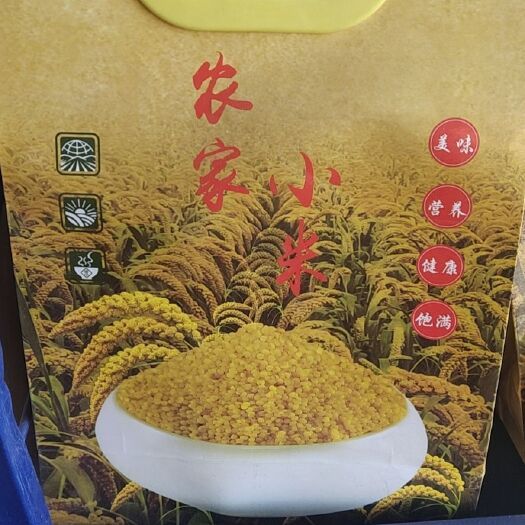 朝阳县黄小米 农家小米