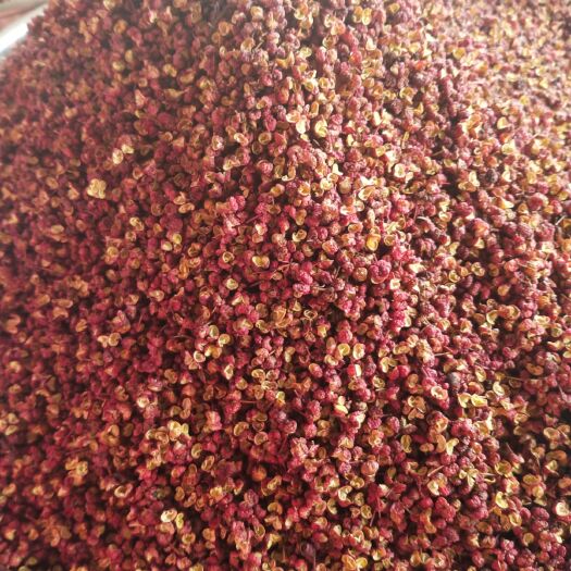 重庆市茂汶红花椒  汉源红花椒  茂汶大红袍