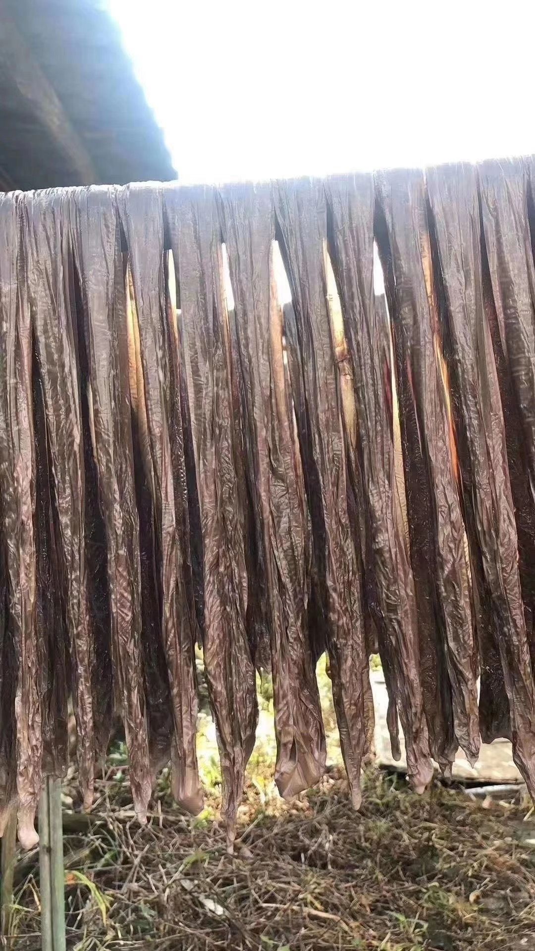 客家河源特产黑豆腐竹一支竹纯手工制作***