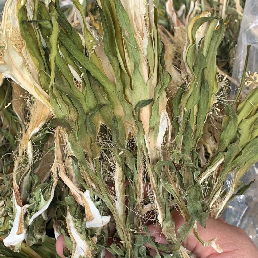 成都 霸王花，干度好颜色鲜，质量保证，大量现货价格美丽，需要的联系