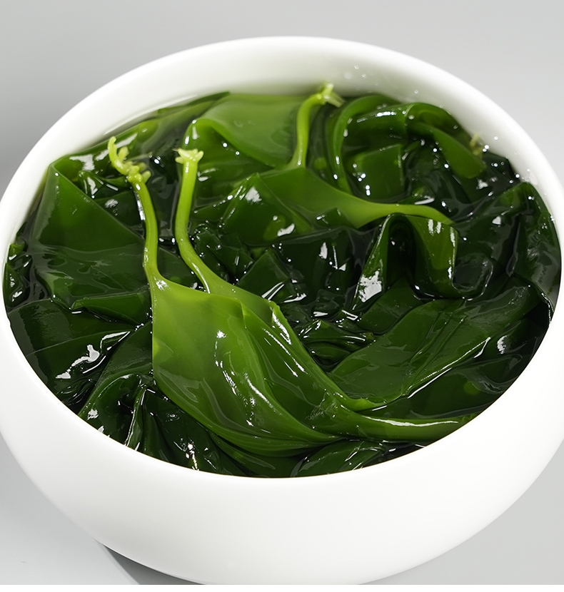 鲜海带  霞浦海带苗批发，源产地源材料整箱批1吨起