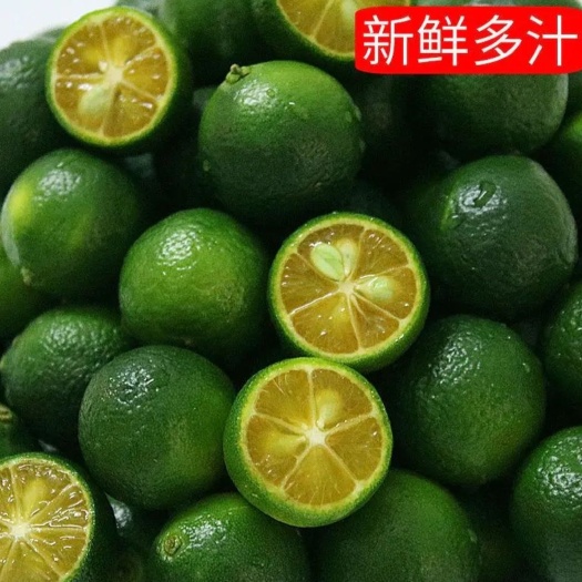 南宁海南青金桔10斤起批