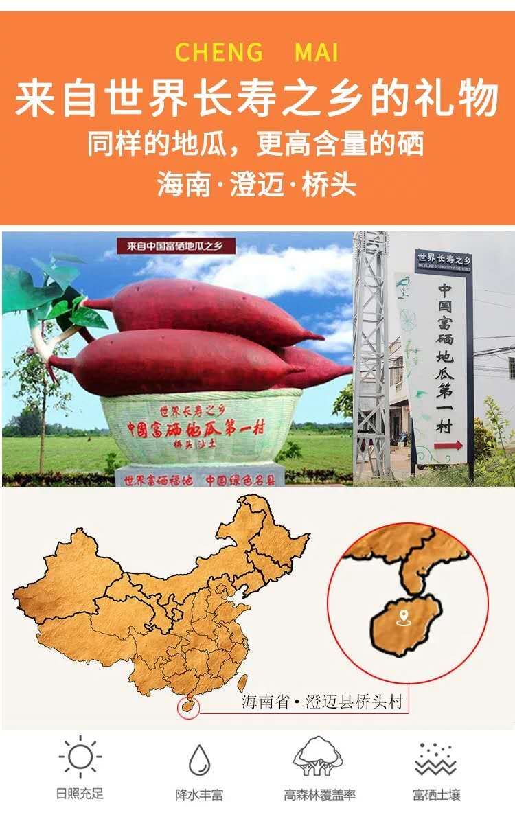 澄迈桥头地瓜富硒地瓜红薯海南板栗薯鲜挖9斤装