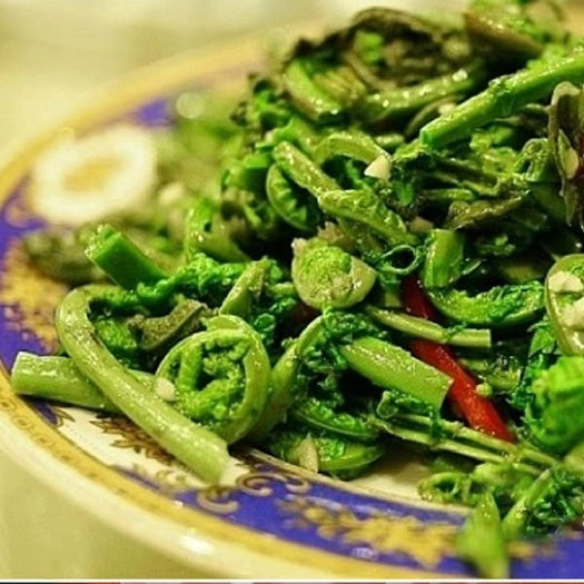 峨边县山野菜 