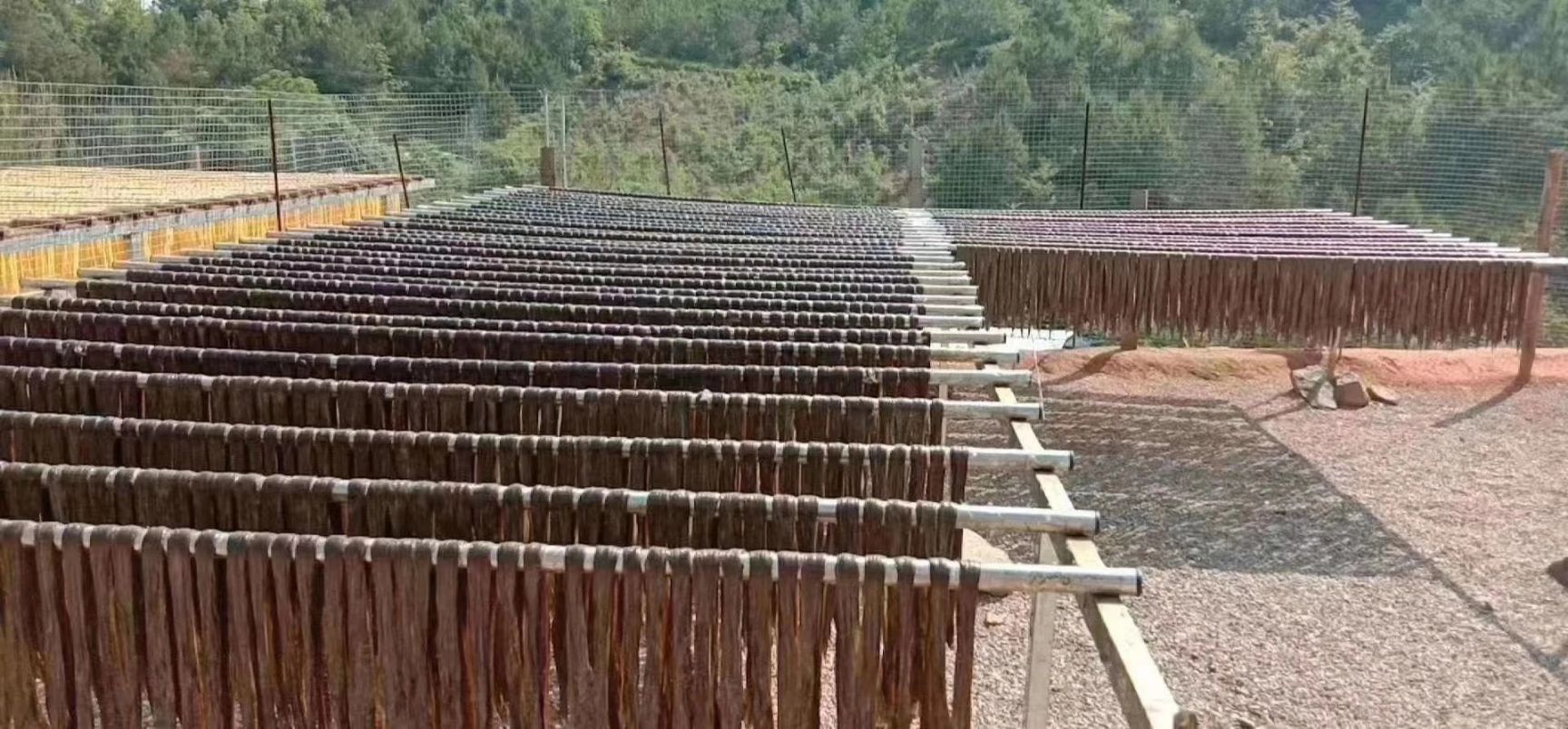 客家河源特产黑豆腐竹一支竹纯手工制作***