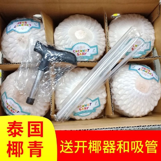 奶香椰青椰子清甜新鲜水果赠开椰器吸管整箱当季包邮