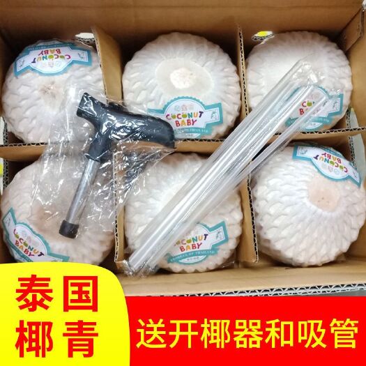 上林县奶香椰青椰子清甜新鲜水果赠开椰器吸管整箱当季包邮